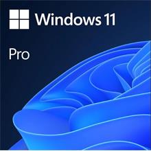 Ms Wındows 11 Pro Tr Kutu Hav-00159