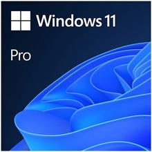 Ms Wındows 11 Pro 64Bıt Tr Oem Fqc-10556