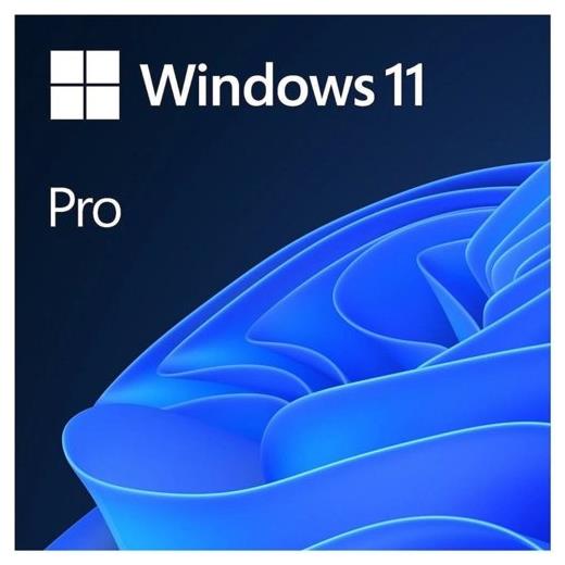 Ms Wındows 11 Pro 64Bıt Tr Oem Fqc-10556